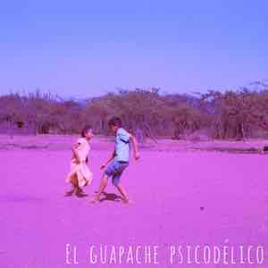 El Pulpo y la Cebra - El Guapache Psicodelico.jpg